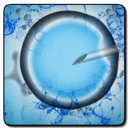 K9 Artificial Insemination in Broughton by K9 Fertility Clinic