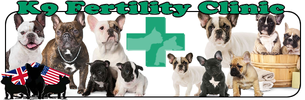 K9 Fertility Clinic Broughton